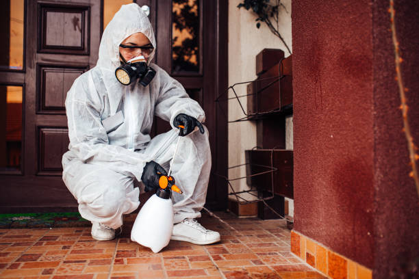 Reliable Wasp Removal contractor in Ione, CA by Show Me Pest Control